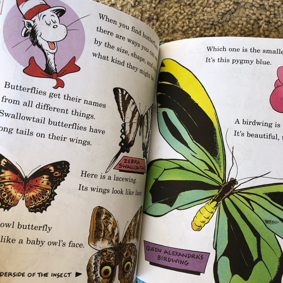 De Seuss Cat in the Hat. My oh my - a butterfly! - Picture 6 of 9